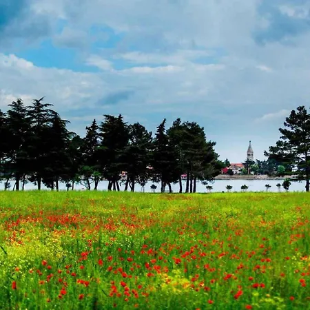 3 Appartamento Rogoznica (Sibenik-Knin)