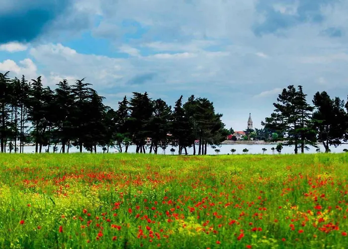 3 Διαμέρισμα Rogoznica (Sibenik-Knin)